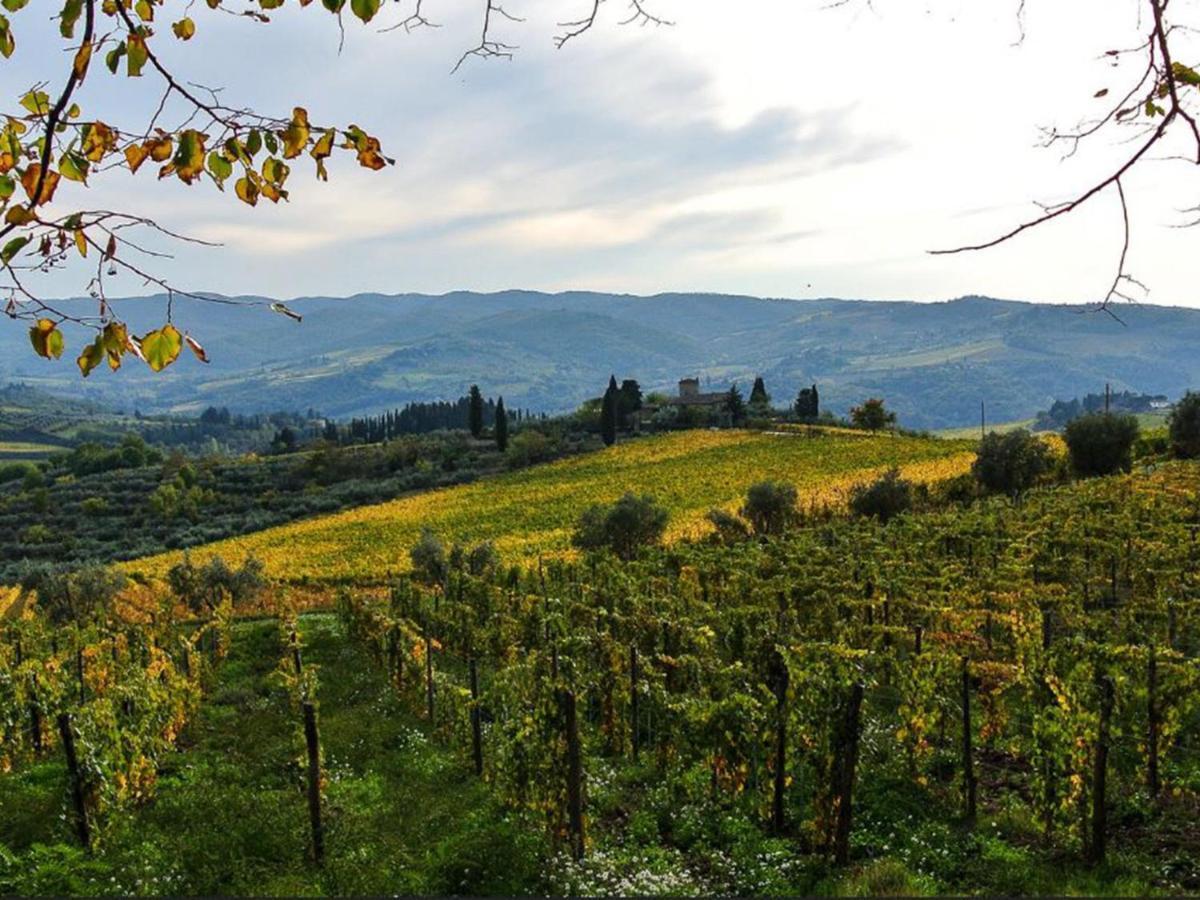 Holiday Home Locazione Turistica Selvapiana By Interhome Greve in Chianti Luaran gambar